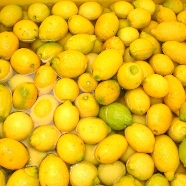 Limoncello Workshop